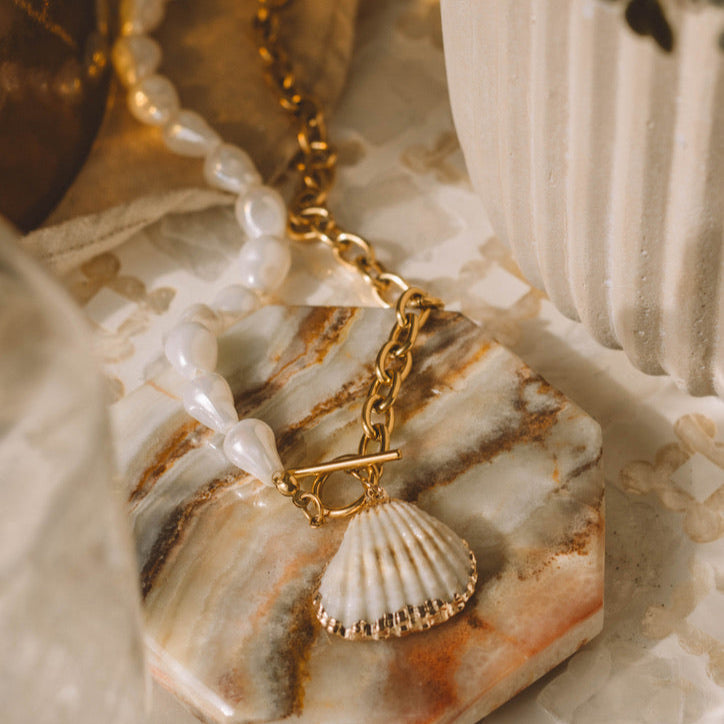 Coquillage Coque Avec Bordure Dorée
