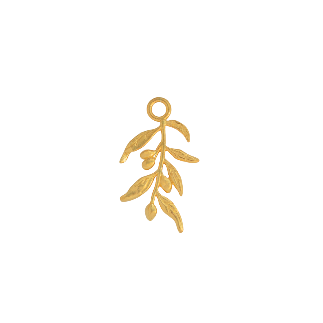 Olive Branch