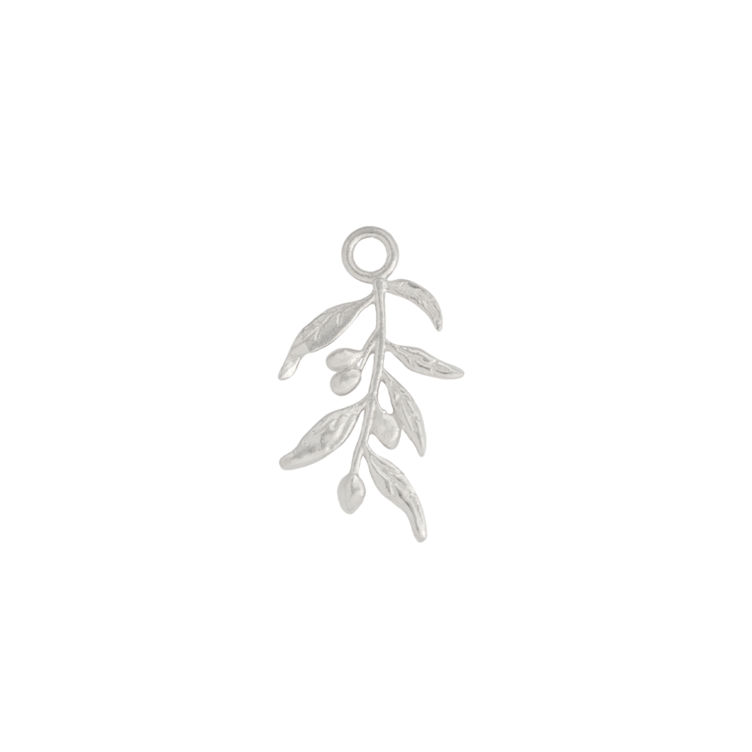 Olive Branch
