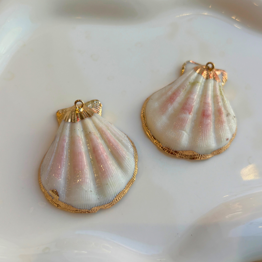 Grand coquillage plat
