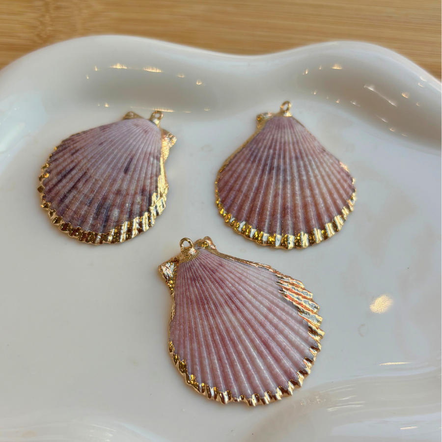 Grand coquillage plat
