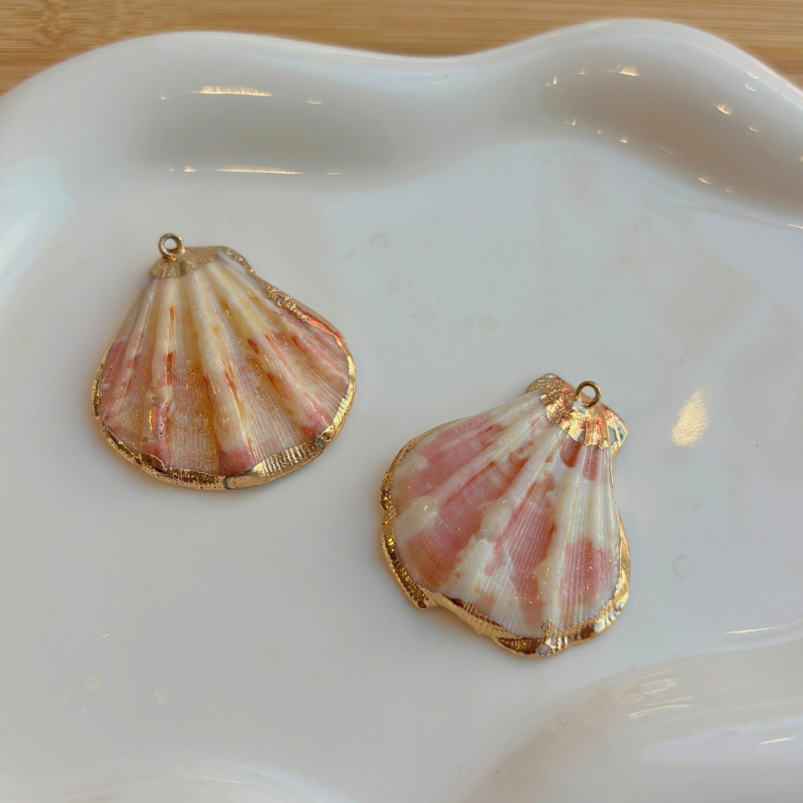 Grand coquillage plat