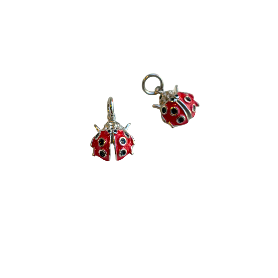 Coccinelle rouge