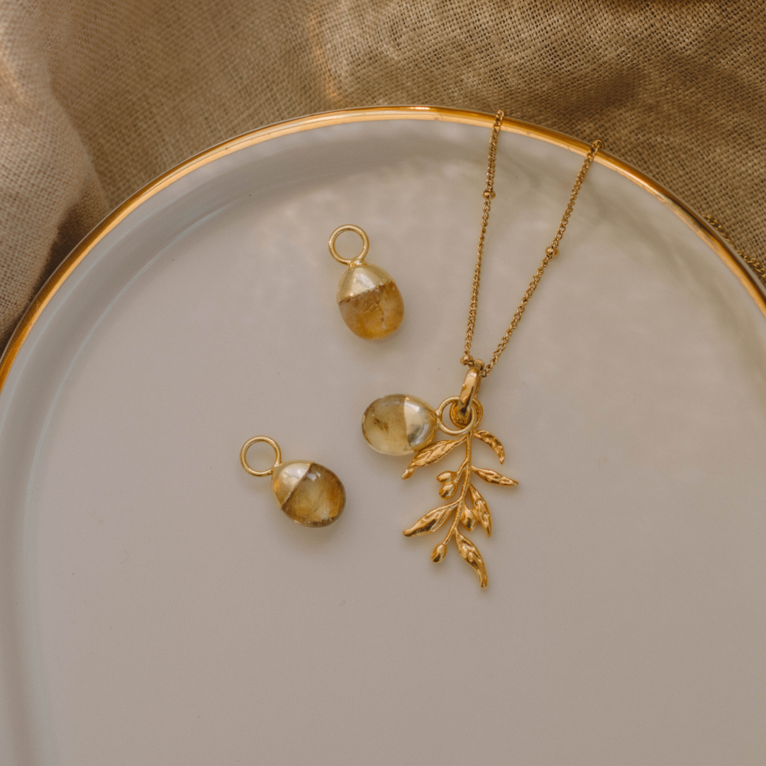 Olive Branch