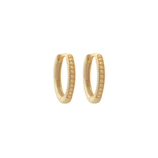 Ornemented Hoops