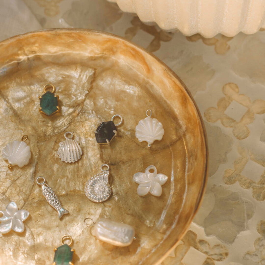 Coquillage Coque