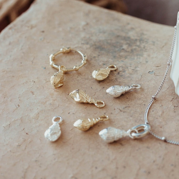 Coquillage Bulot