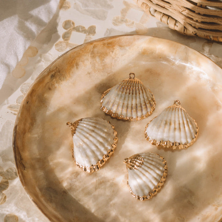 Coquillage Coque Avec Bordure Dorée