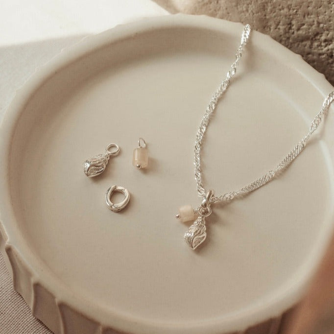 Coquillage Bulot