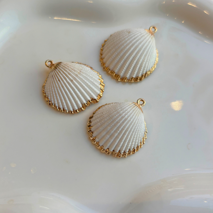 Moyen Coquillage coque blanc