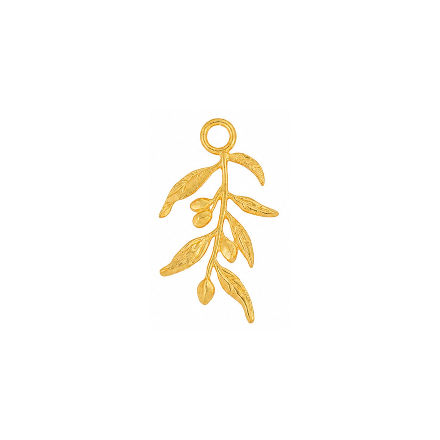 Olive Branch
