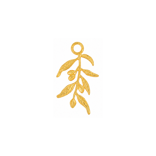 Olive Branch