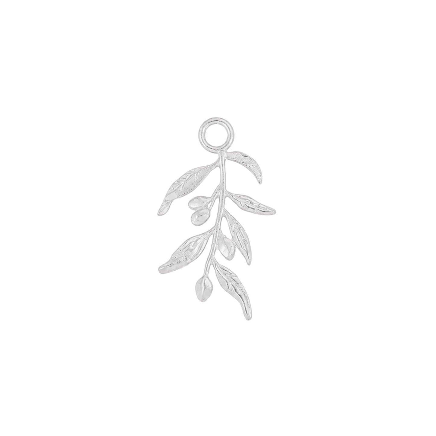 Olive Branch