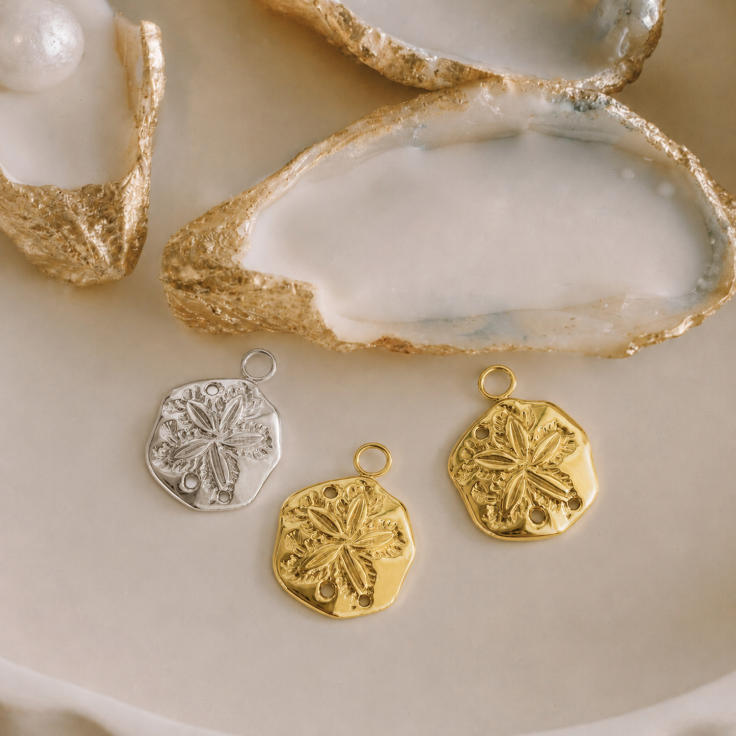 Sand Dollar