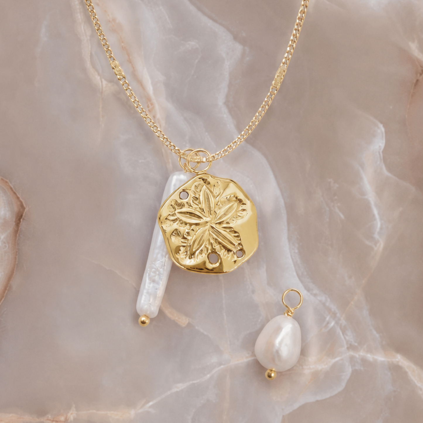 Sand Dollar