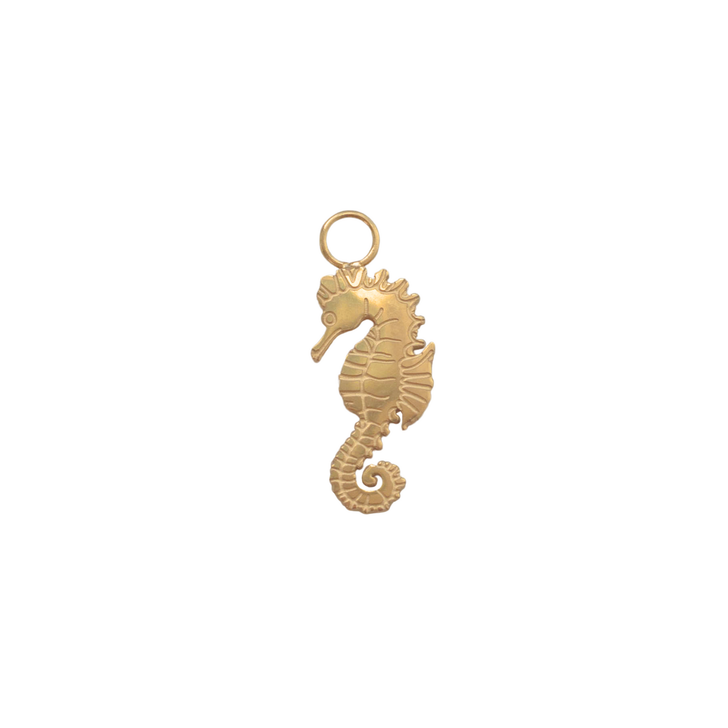 Seahorse