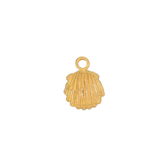 Clam Shell