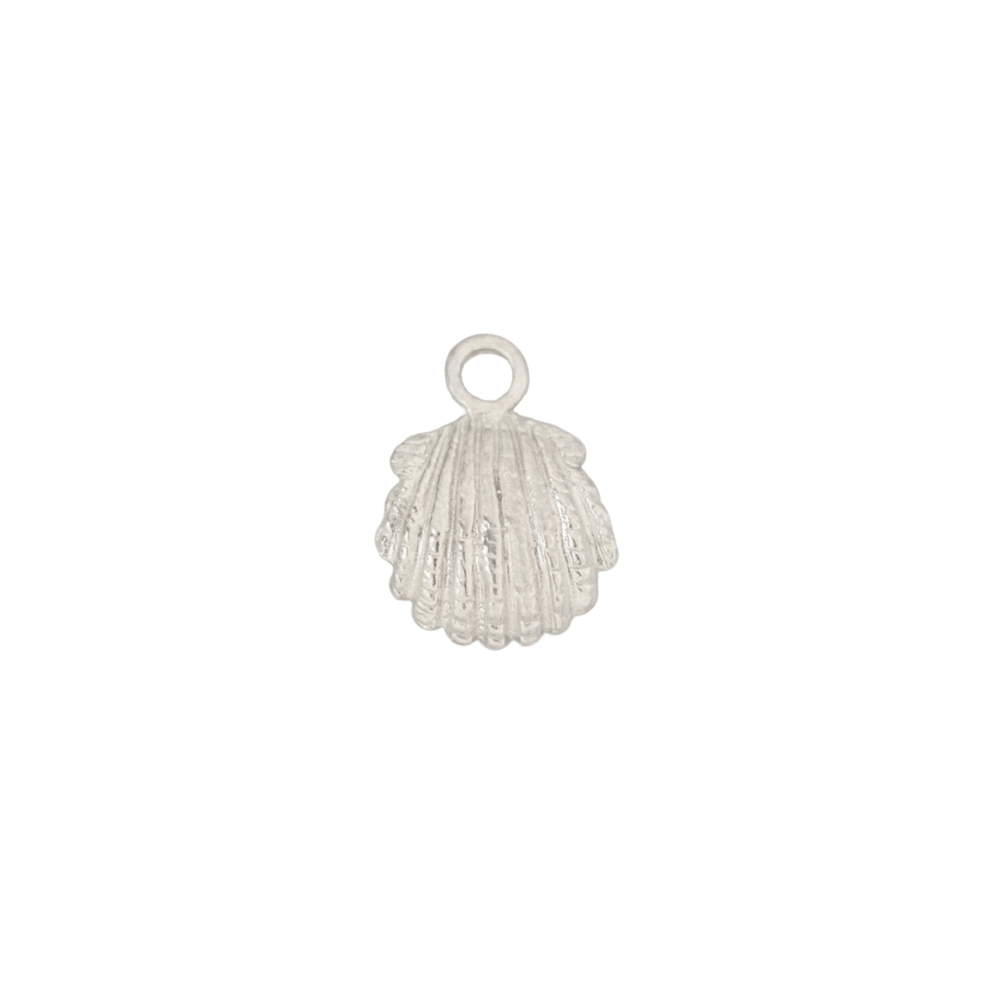 Coquillage Coque