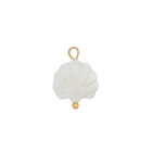 Mother of Pearl Shell