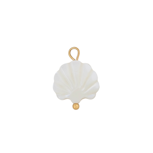 Mother of Pearl Shell