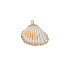 Gold Rim Seashell