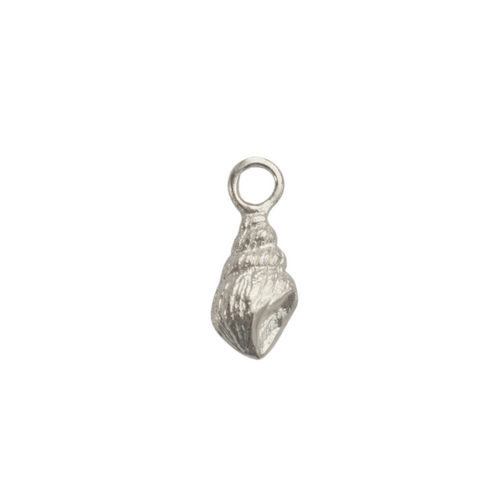 Seashell