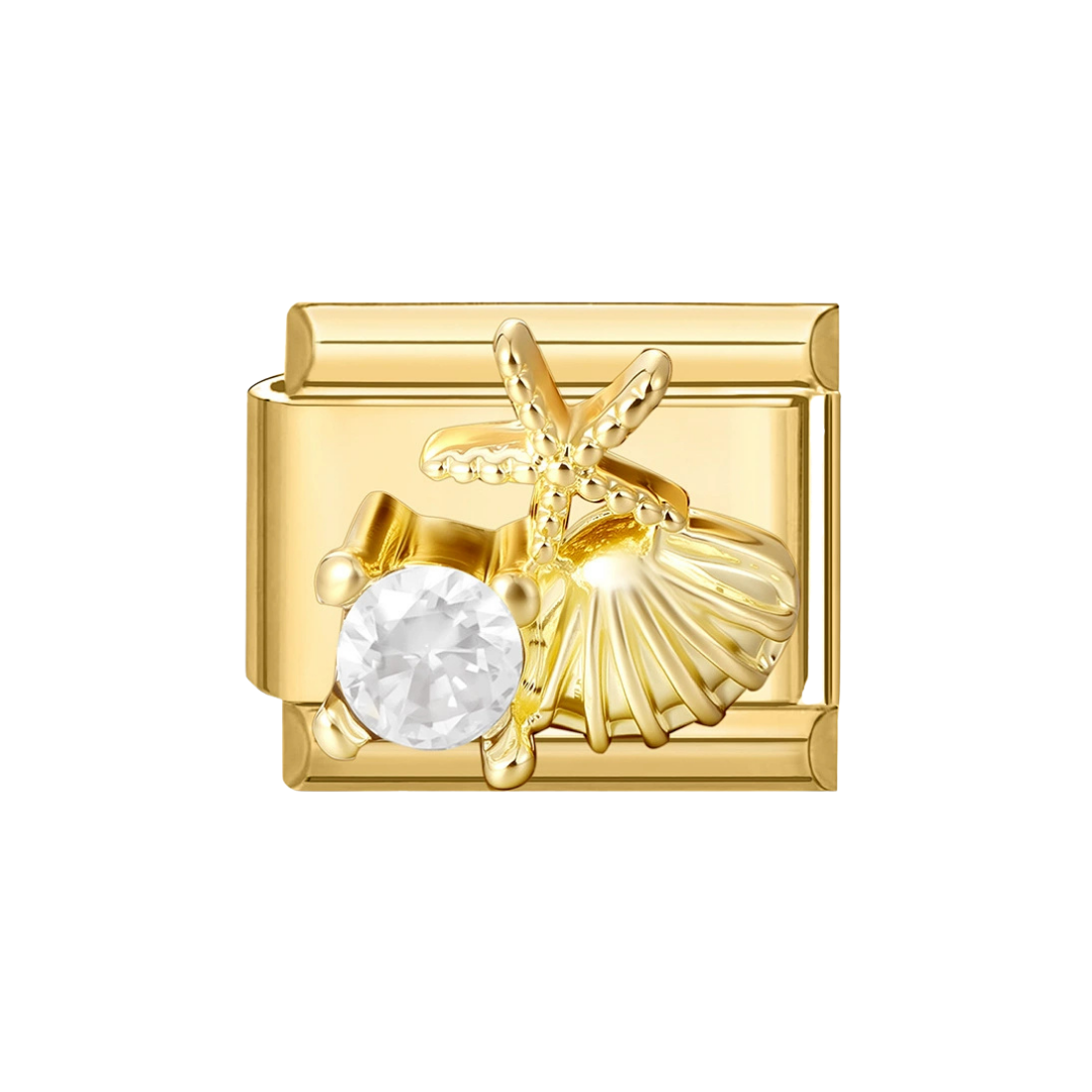 Maille Coquillage et Étoile de Mer