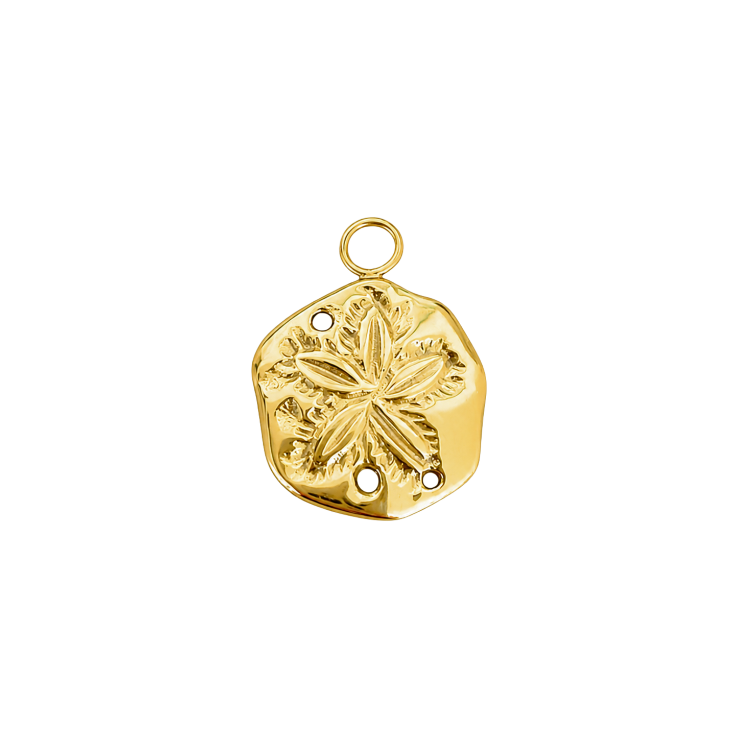 Sand Dollar