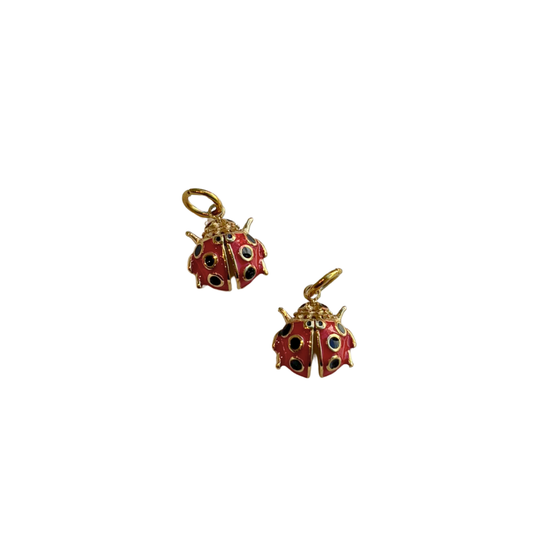 Coccinelle rouge