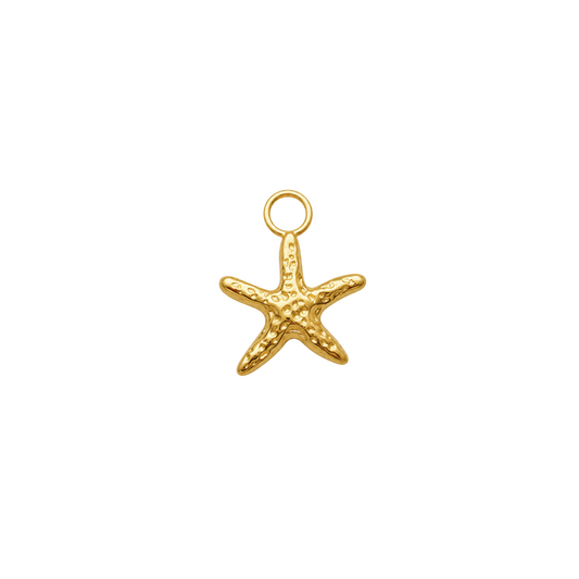 Étoile De Mer