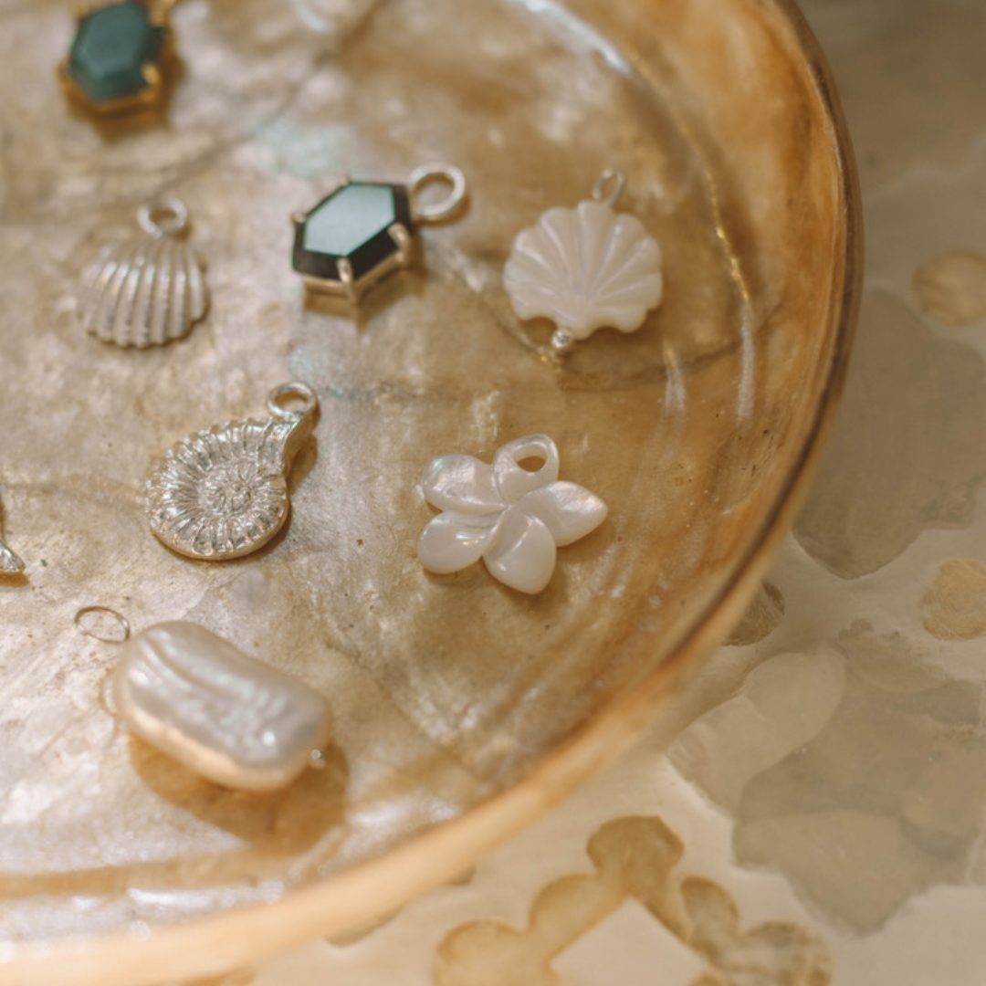 Mollusk Shell