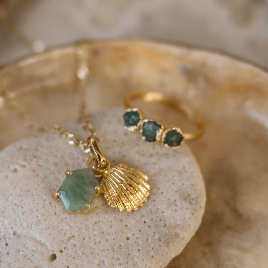 Coquillage Coque