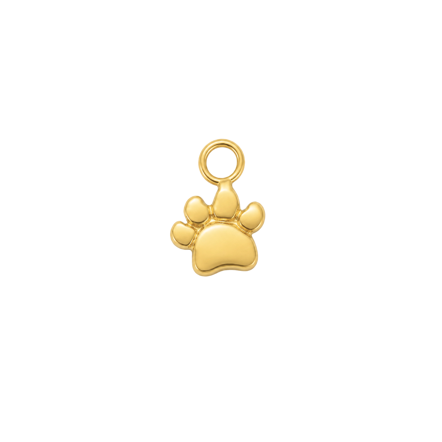 Paw